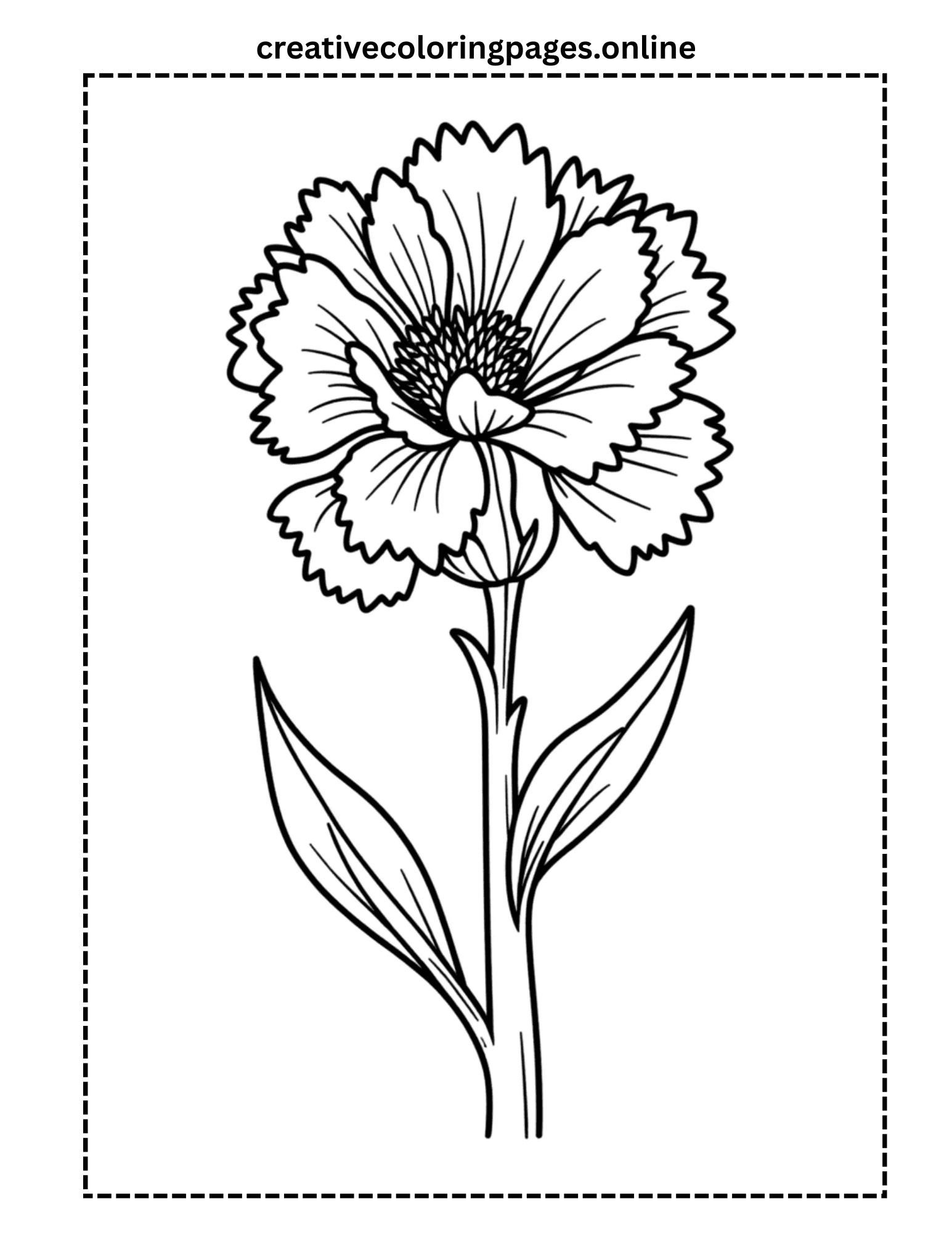 Carnation Flower Coloring Page - Detailed Floral - Image 1