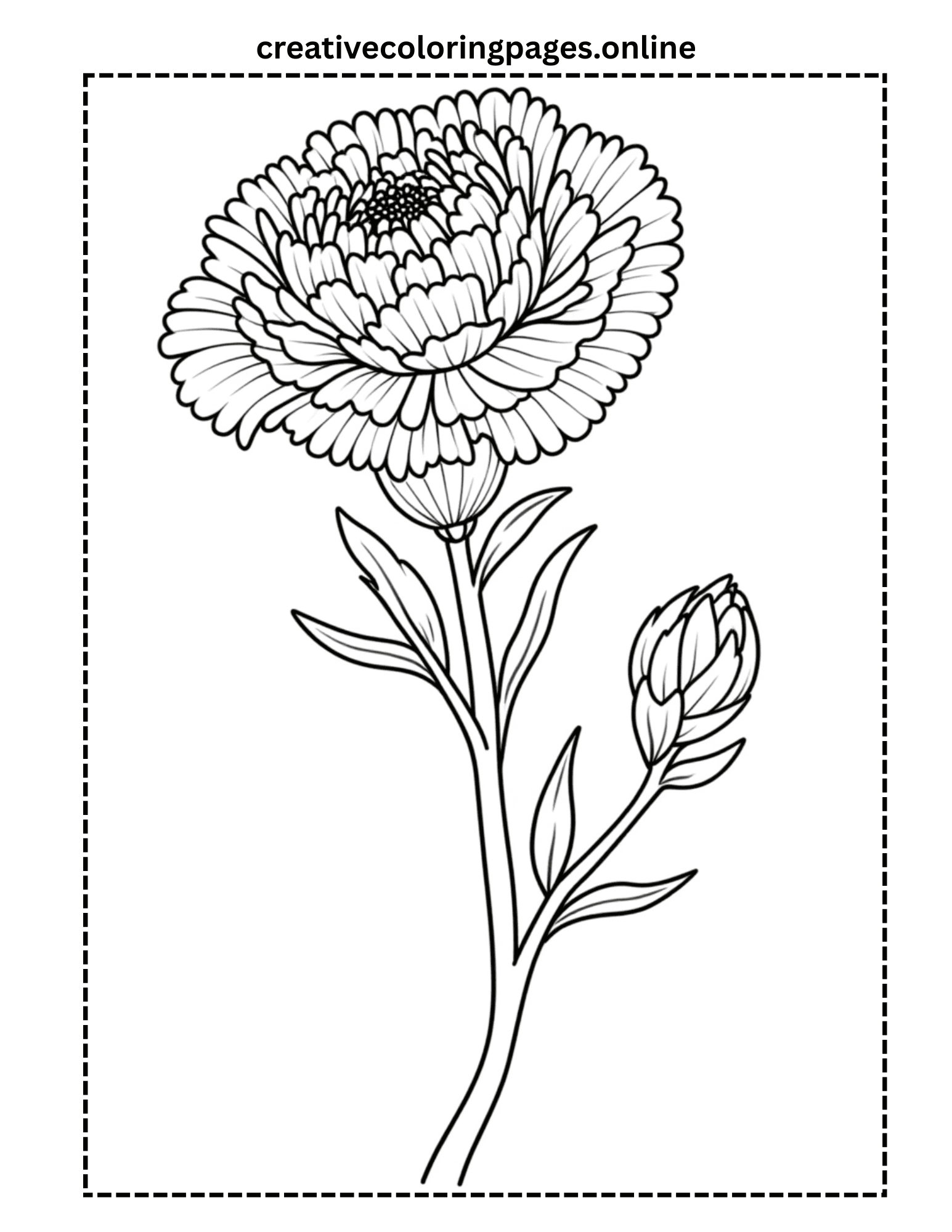 Chrysanthemum Flower Coloring Page - Detailed - Image 1