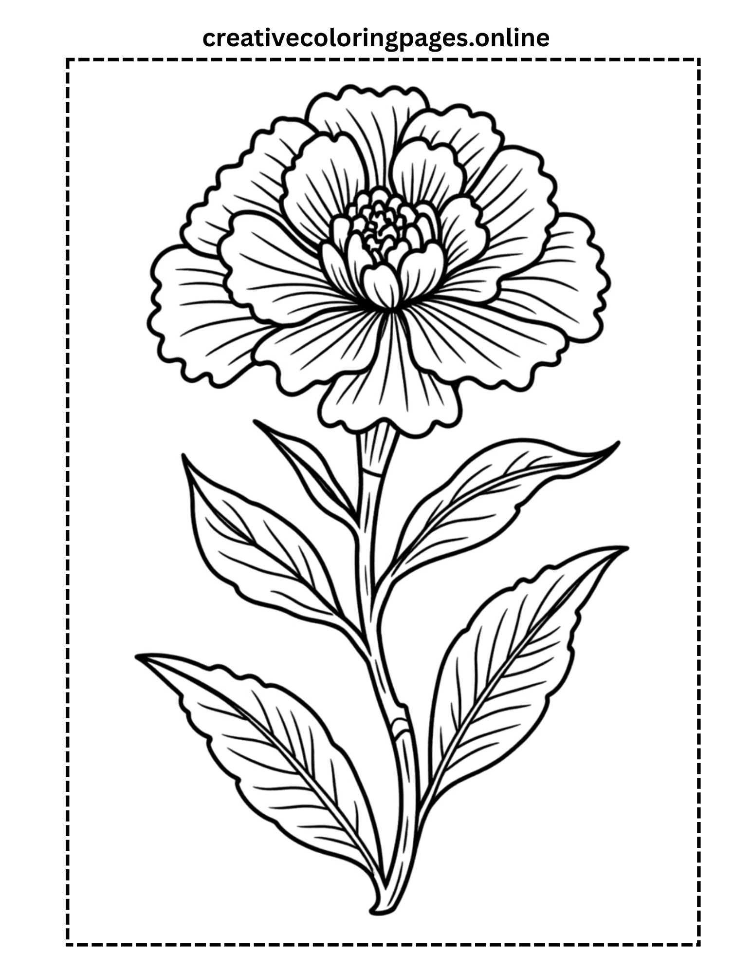 Carnation Flower Coloring Page - Detailed Botanical - Image 1