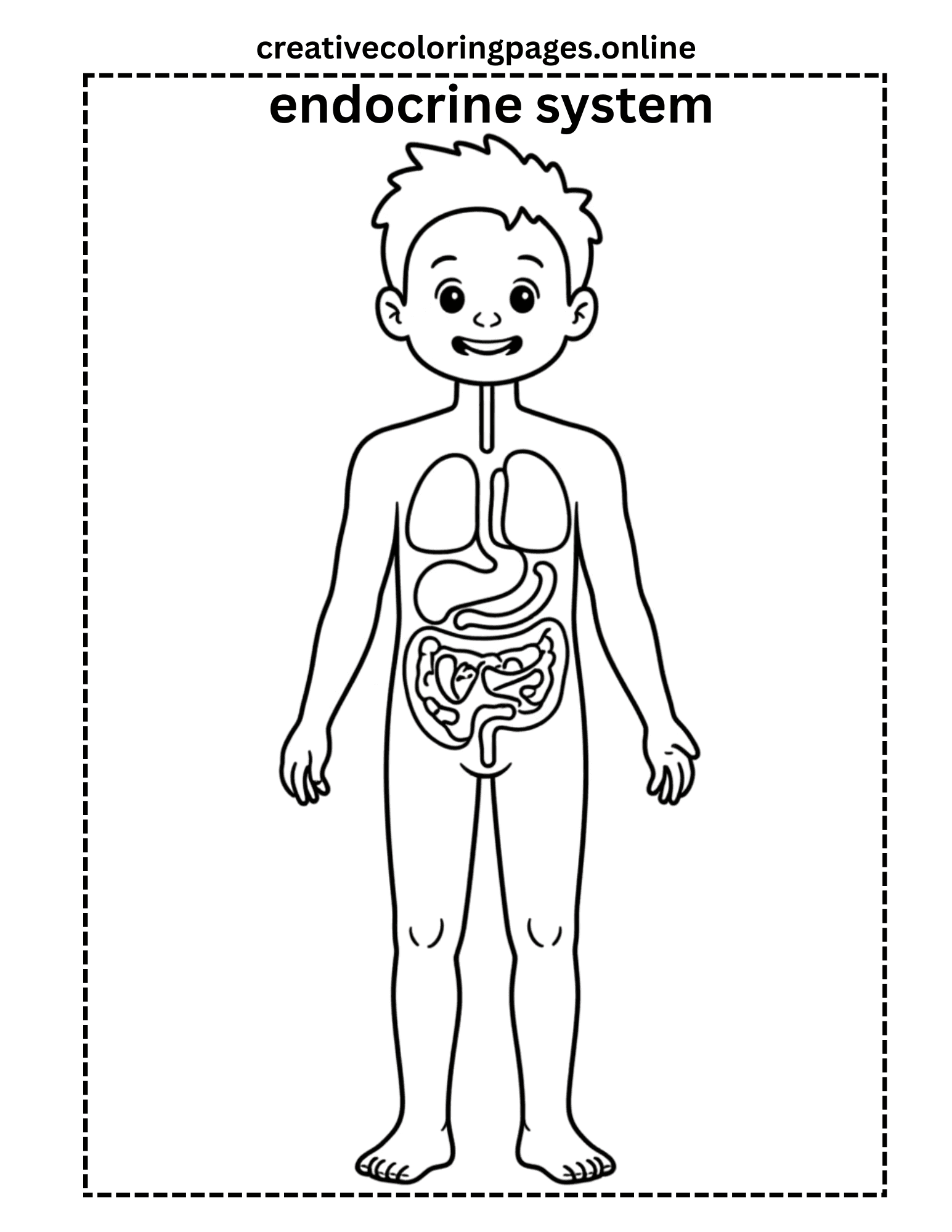 Human Body Organs Coloring Page Free Printable Kids